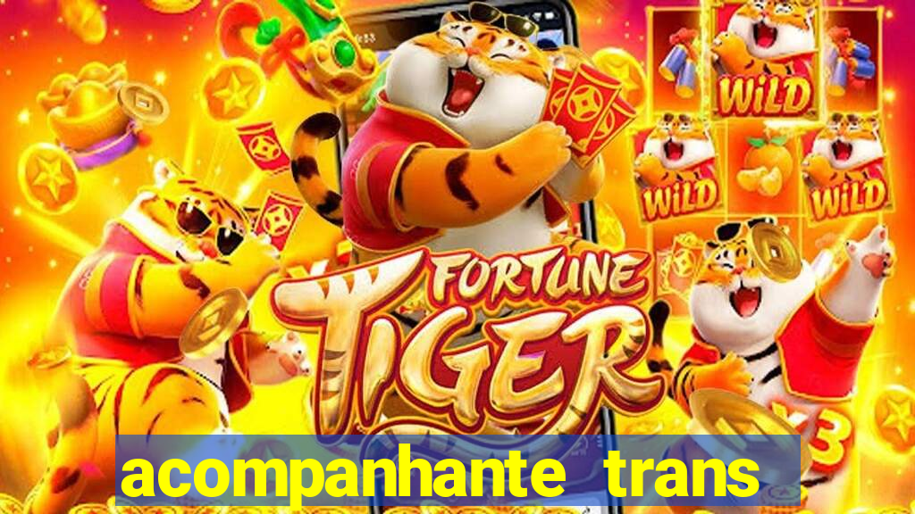 acompanhante trans em porto alegre